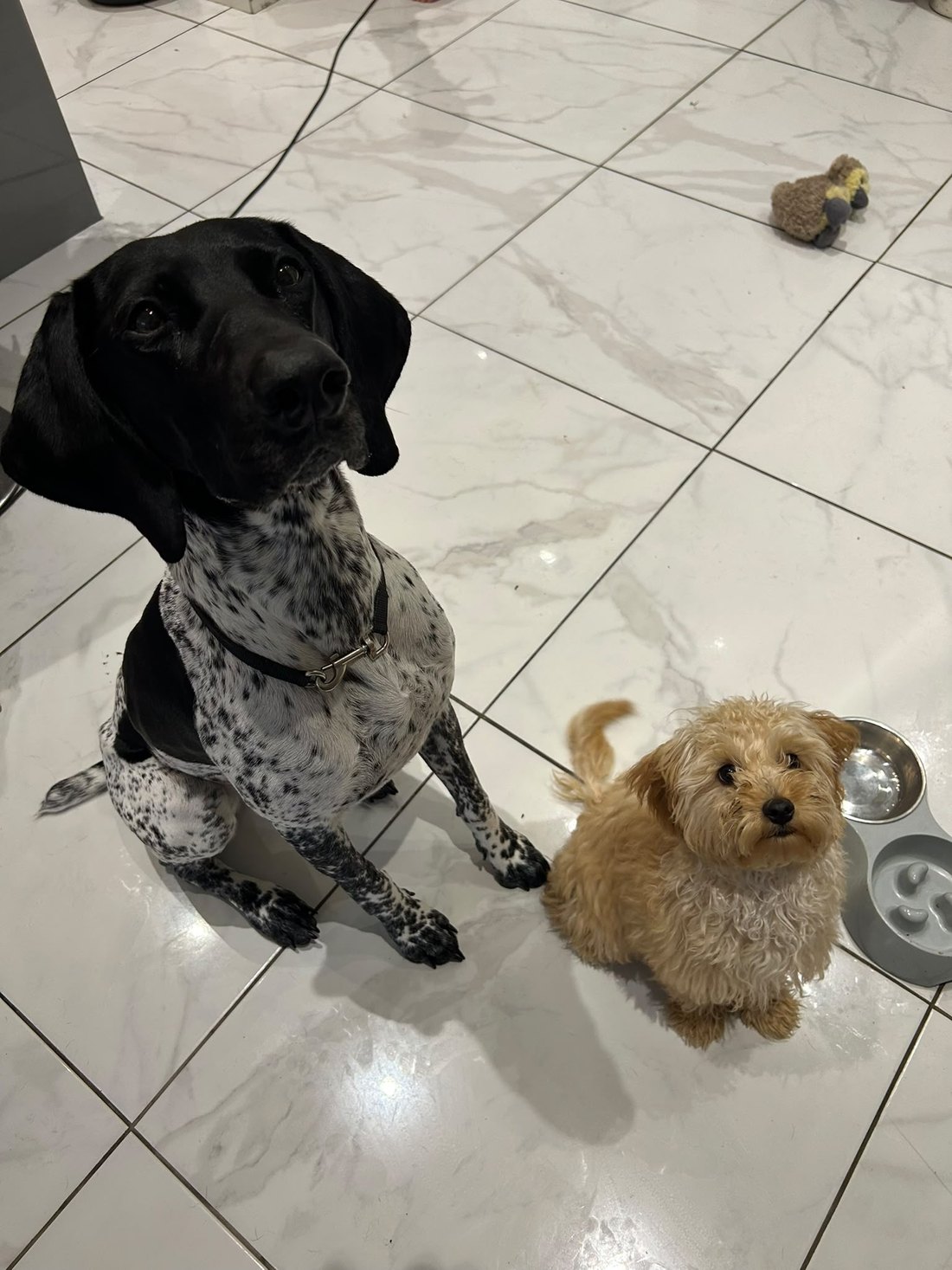 Two guests waiting patiently